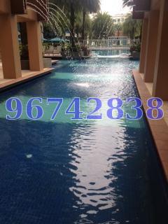 Blue Horizon thumbnail photo